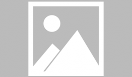 视频主页,探索热门内容的魅力与奥秘