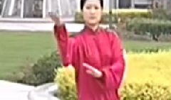 太极拳24式慢动作视频教学,太极拳24式慢动作教学概述